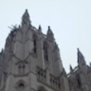 Meet your Posher, Elena